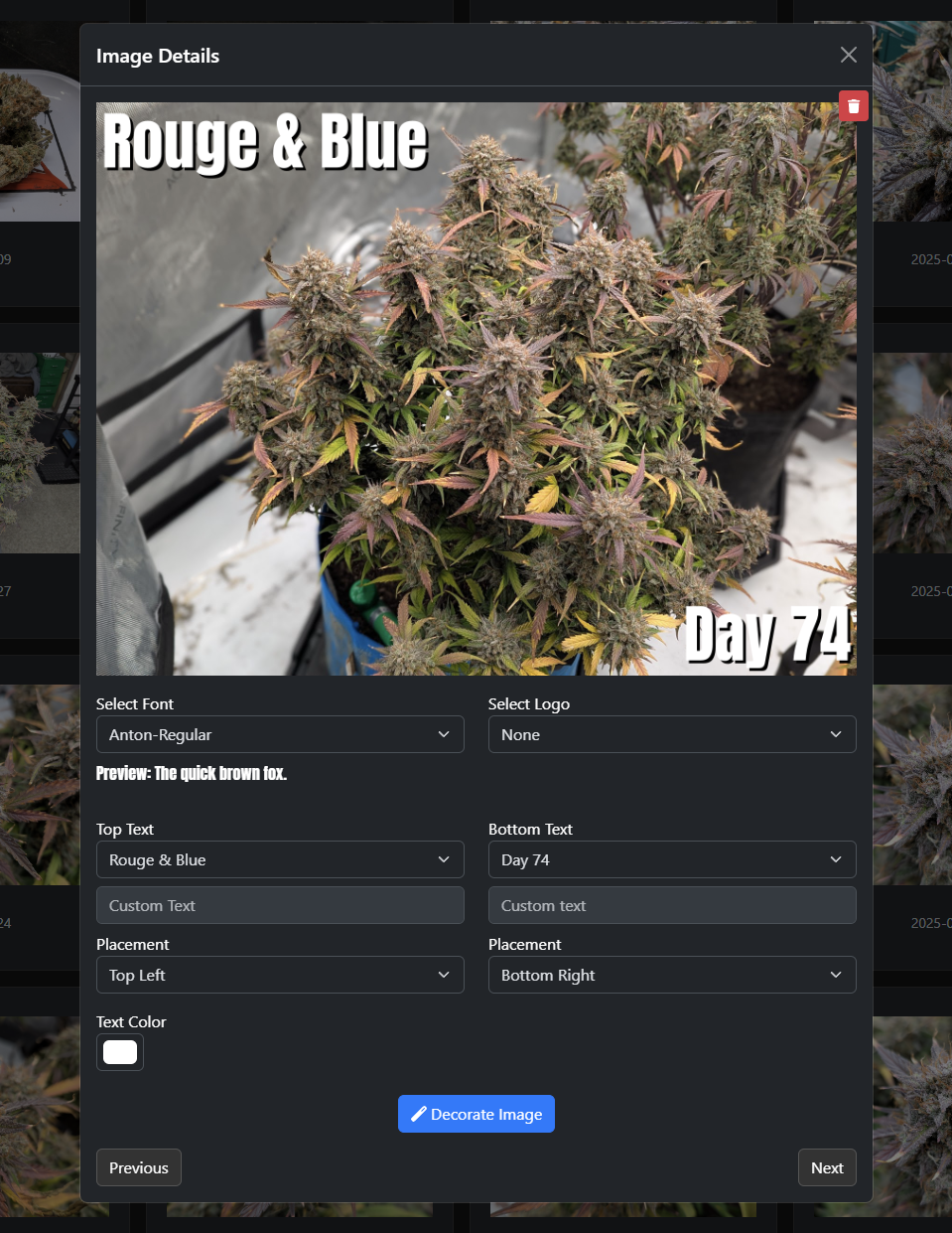 Isley image overlay editor showing a plant photo with customizable text overlays for strain name and day count
