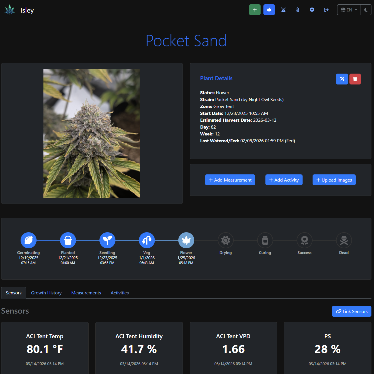 Isley plant detail page for Pocket Sand showing plant photo, grow details, status, sensor readings, and activity tracking buttons