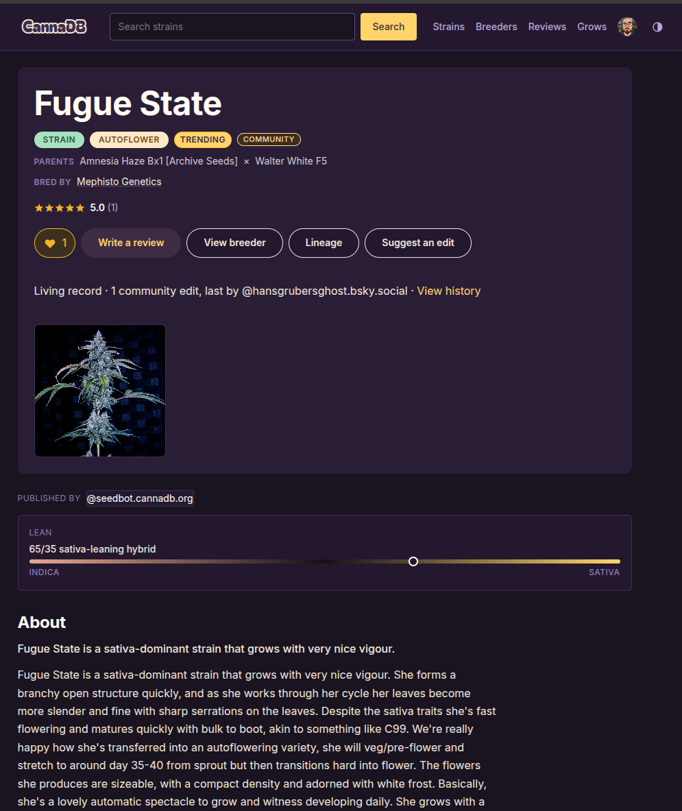 A CannaDB strain page for 'Fugue State', a sativa-dominant autoflower from Mephisto Genetics, showing a 5.0 rating, lineage and edit controls, a THC range bar, and a markdown description.
