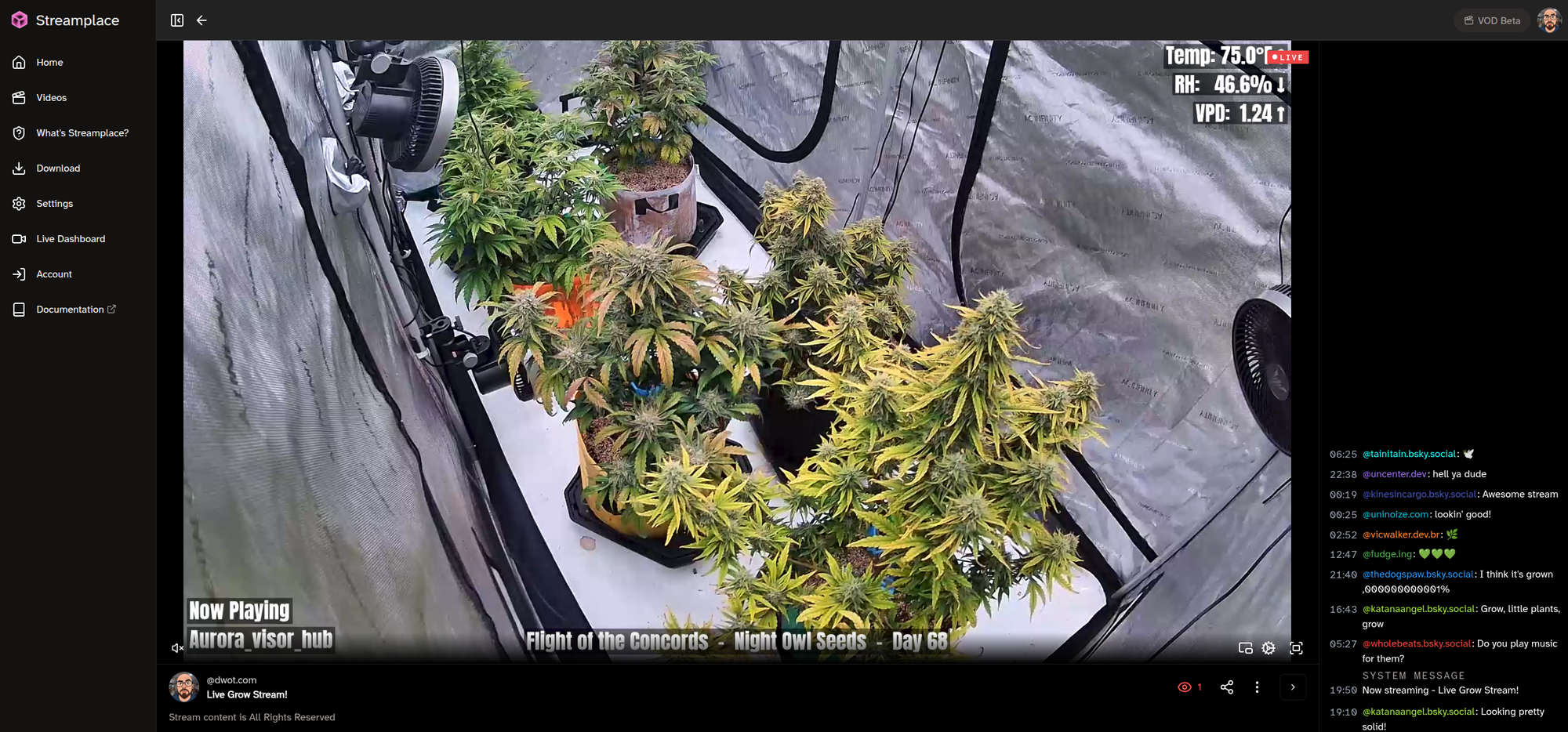 The live grow-tent stream on Streamplace, showing the plants with temperature, humidity and VPD readings in the top corner and a now-playing and plant ticker along the bottom