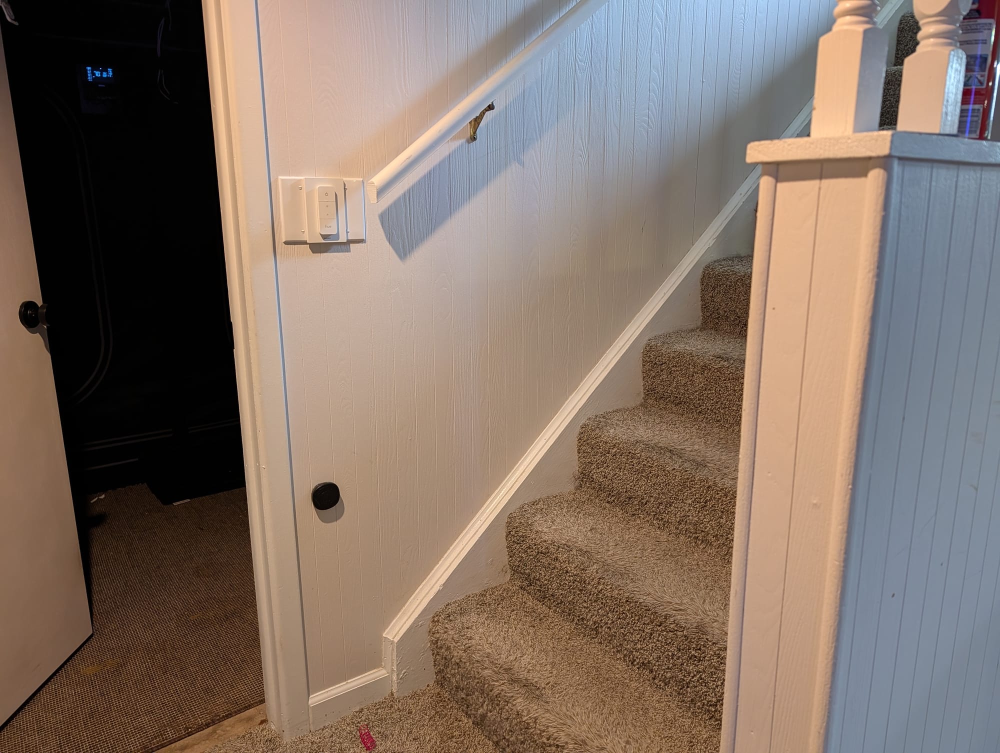 A paw-print doorbell button mounted low on the wall at the bottom of the carpeted basement stairs