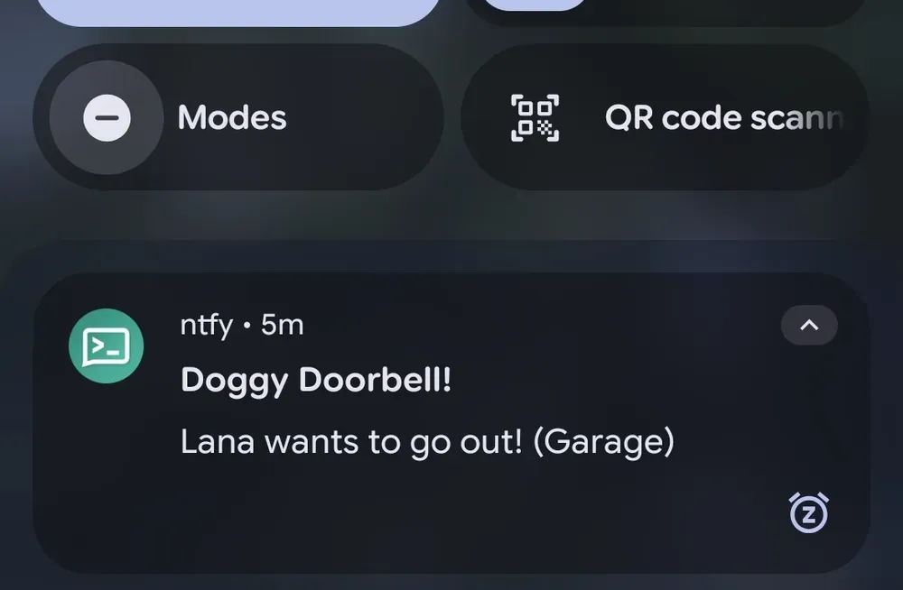 A phone notification from ntfy reading Doggy Doorbell! Lana wants to go out!