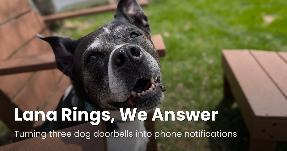 Lana, a black-and-white senior dog with a head tilt, under the title Lana Rings, We Answer